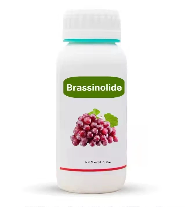 Brassinolide