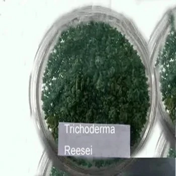 Trichodermtrichoderma reesei 2 δισεκατομμύρια CFU/g για αποικοδόμηση κυτταρίνης